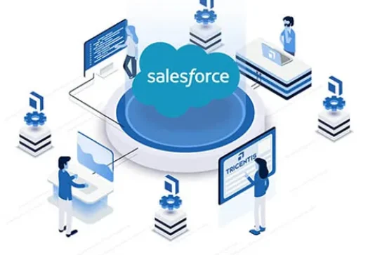 sales-force-banner