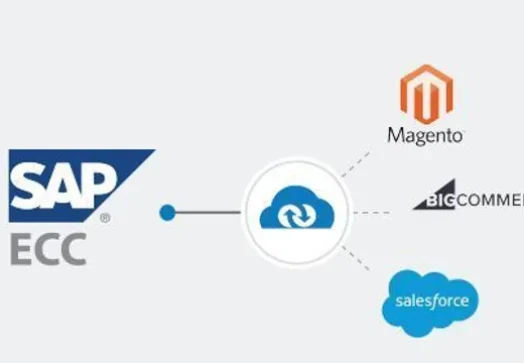 sap-ecc-integration-500x500